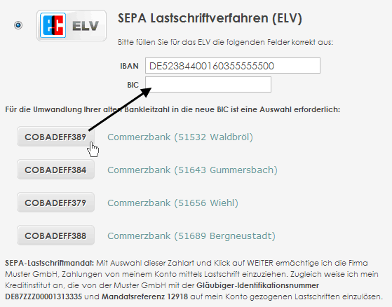Sepa Jetzt Umstellen Powergap Shopsystem